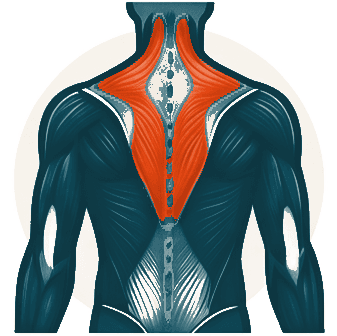 Muscle imbalances